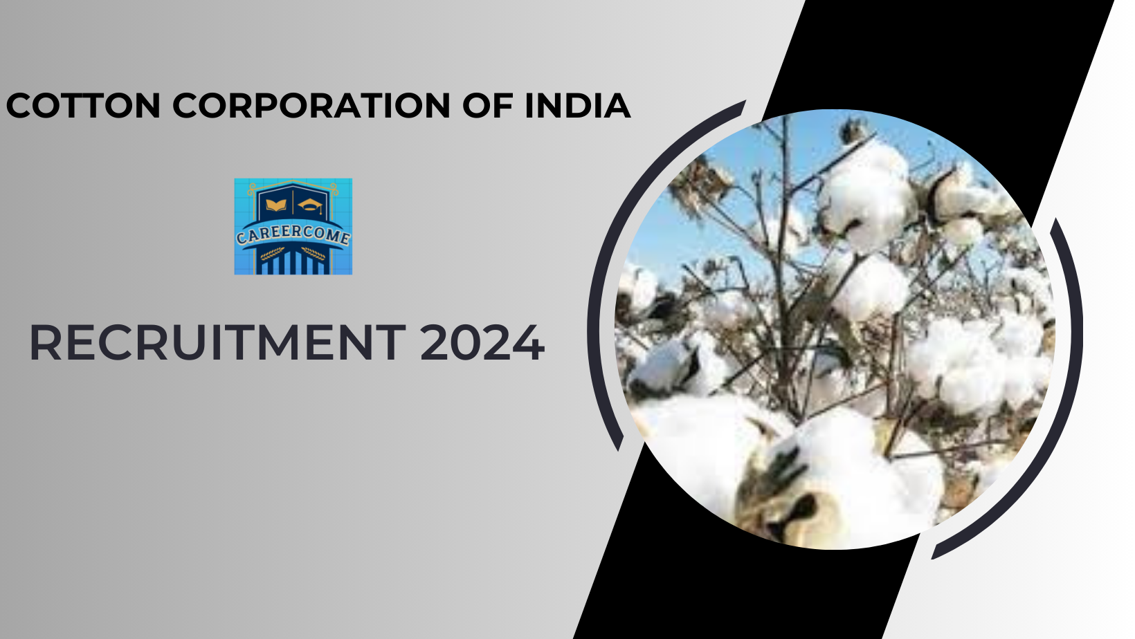 Cotton Corporation of India